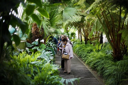 Residents and tourists visit the Royal Greenhouse of Laeken in the royal garden in Brussels, capital of Belgium, May 10, 2013. The Belgian royal family opens its greenhouses in the royal garden with wide variety of flowers to the public for three weeks every year. (Xinhua/Zhou Lei) 
