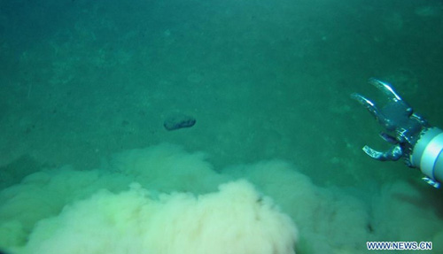 Photo taken onboard China's manned submersible Jiaolong on June 27, 2012 shows the environment underwater at the Mariana Trench in the Pacific Ocean. Submersible Jiaolong set a new national dive record on Wednesday after reaching 7,062 meters below sea level during its fifth dive into the Mariana Trench. The Jiaolong got three water samples, two sediment samples and one organism sample, placed a marker, and made several experiments on the sea floor 7,062 meters deep from the sea surface. Photo: Xinhua/China Ocean Mineral Resources Research and development Association