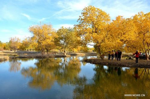 Tourists enjoy the scenery at a forest park in Jiuquan city, Northwest China's Gansu Province, October 6, 2012. Photo: Xinhua