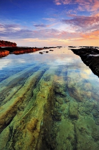 (Source: huanqiu.com)