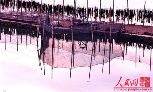 Xiapu mudflat scenery is as beautiful as a water-and-ink painting. (Chinapic.people.com.cn)