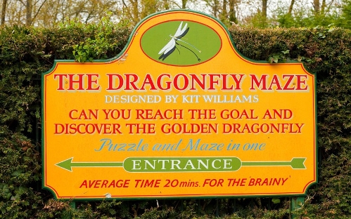 Dragonfly Maze (Photo Source: forum.news.cn)
