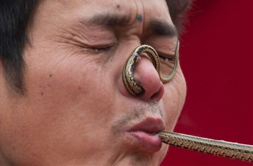 Source: www.gmw.cn