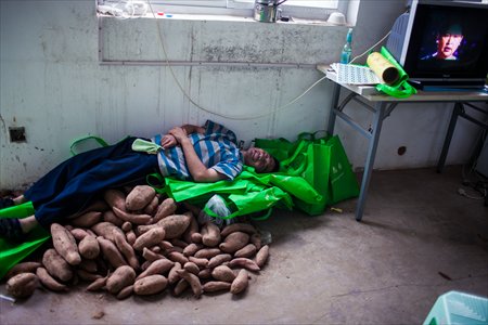 Jiao Jian takes a brief rest on a pile of sweet potatoes. Photo: Li Hao/GT