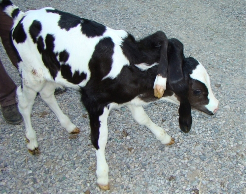 (Photo Source: huanqiu.com)