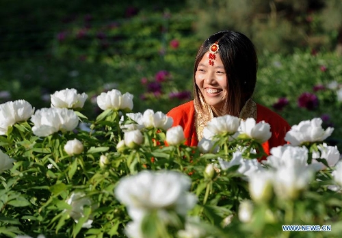 A young woman wearing ancient costume poses for photos amid peony flowers at a park in Luoyang City, central China's Henan Province, April 10, 2013. (Xinhua/Wang Song) 