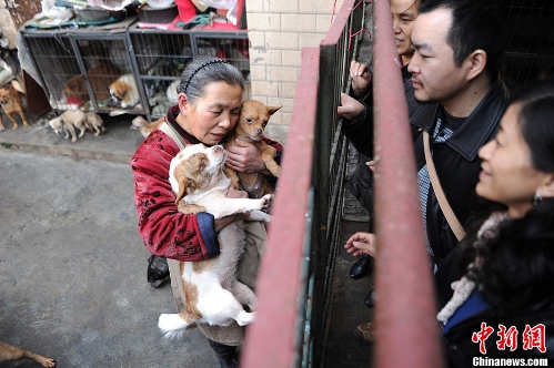 (Source: Chinanews.com)