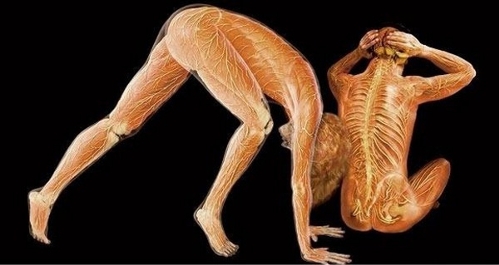 (Photo Source: china.org.cn)