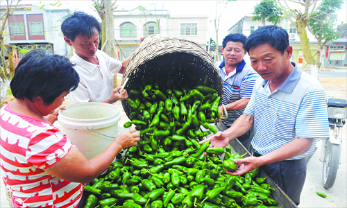 Farmers sell peppers in Futian village, South China's Hainan Province Tuesday. Due to limited supplies, the average price of peppers nationwide increased by 13.7 percent last week compared with the previous week, with some major cities like Beijing seeing the price rising by as much as 45 percent. Photo: CFP 