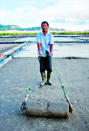 A salt worker levels a field destined for the evaporation of sea water with a stone roller. Photo: CFP