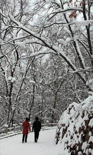 As the name suggests, xiaoxue indicates the falling of snow, which is more likely in northern parts of China at this time of year. Photos: CFP