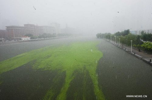 Photo taken on July 26, 2012 shows the flooded Haihe River in Tianjin, North China. Heavy rainfall hit the municipality from Wednesday afternoon to Thursday. Photo: Xinhua
