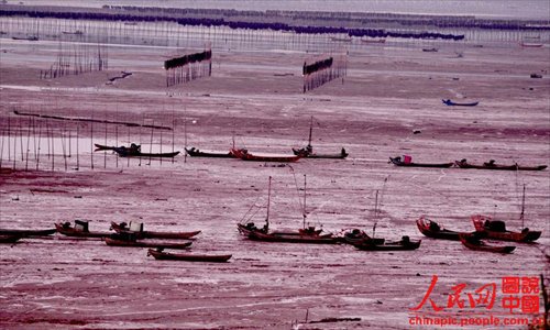 Xiapu mudflat scenery is as beautiful as a water-and-ink painting. (Chinapic.people.com.cn)