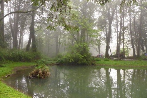 Located in the northeast of Jiayi in Taiwan Province, Ali Mountain is the general name of the 18 hills including Zhu Hill and Tower Hill. The highest peak is Tower Hill with a height of 2,663 meters. Ali Mountain is renowned for its five rare sights including the sunrise, the Ali Mountain forest railway, the famous Alishan sacred tree, the grand sea of clouds, and fragrant cherry blossom. (Photo:China.org.cn)