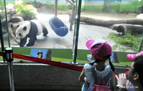  Visitors view giant pandas at the Taipei Zoo, Taipei, southeast China's Taiwan, July 7, 2013. The first cub of a pair of giant pandas given as a goodwill gift to Taiwan by the Chinese mainland was born at 8:05 p.m. on July 6 in the zoo. The newborn cub weighs only about one thousandth of its mother Yuan Yuan and is healthy. (Xinhua/Wu Ching-teng)