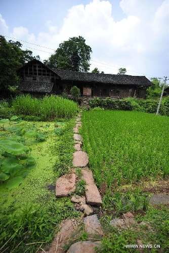 Photo taken on June 16, 2013 shows the wooden Diaojiaolou, or stilted houses in Shiyanping Village, Wangjiaping Township of Zhangjiajie City in central China's Hunan Province. The Shiyanping Village, located in the southeast of Wangjiaping, is one of the regions in Hunan where stilted houses are well preserved. With a toal of 182 existing stilted houses of the Tujia ethnic group, the village was listed as the seventh batch of important heritage sites under state protection in 2013. (Xinhua/Shao Ying)