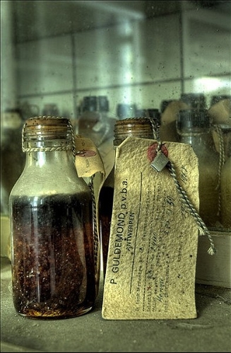 Mortuarium Schoonselhof, Belgium