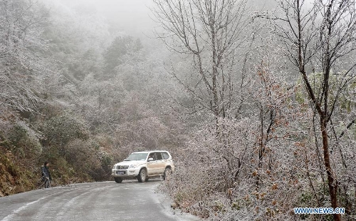 A vehicle moves among trees covered with icicles on Mao'er Mountain in Guilin, south China's Guangxi Zhuang Autonomous Region, Jan. 7, 2013. (Xinhua/Lu Bo'an)&nbsp; 