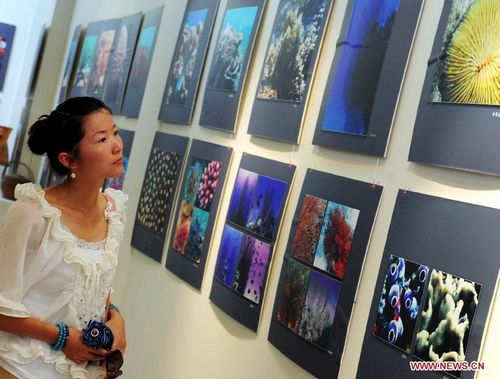 A woman looks at photos presented in an exhibition of documentary photography for Sansha City in Sanya, south China's Hainan Province, August 5, 2012. A total of 117 photos from 2002 to 2008 by Huang Qiqing, vice president of Sanya Photographers Association, were displayed during the exhibition. Photo: Xinhua