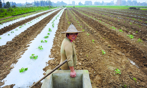 Chen Bixian, 60, was deterred by the expensive cost of emigration, and decided to work on dilapidated farmland in the village. Photo: CFP