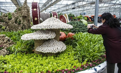 Garlic photo: Li Hao/GT