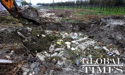 Dead pigs that were removed from the water are buried at the site with an excavator, at the Xiaomao dock in Shanghai’s Jinshan district on March 13. The Xiaomao dock is located on the upper reaches of the Huangpu River, which supplies Shanghai with some of its drinking water. Photo: Cai Xianmin/GT