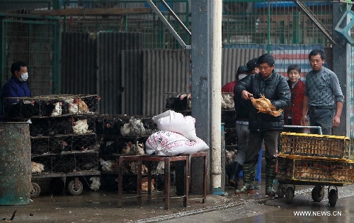 Workers conduct innocuous disposal of live poultry at the Sanguantang poultry and egg market in Shanghai, east China, April 5, 2013. The government of Shanghai Municipality said on Friday sales of live poultry will be suspended in the municipality from April 6 as the H7N9 strain of avian influenza has sickened 14 people and killed six. (Xinhua/Ding Ting)&nbsp;