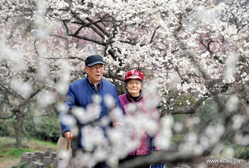 &nbsp;Photo taken on Feb. 27, 2013 shows people enjoy the scenery of plum blossoms at the 