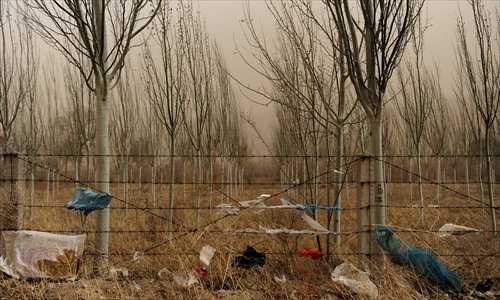 Plastic bags are seen on mesh wires protecting a forest in Huailai county, Hebei Province, on April 12, 2010. Photo: CFP