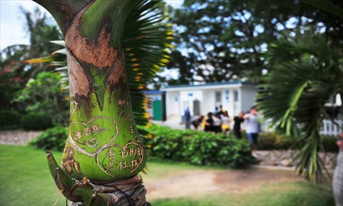 A palm plant is carved with names of lovers in Sanya, Hainan Province. The city government has urged visitors to stop the practice as it can harm the plants. Photo: CFP