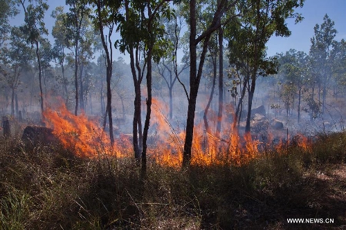 The aboriginal people burn grass at the Kakadu National Park of Australia May 25, 2013. The Kakadu National Park is a protected area in the northern area of Australia. The cultural and natural values of the Kakadu National Park were recognized internationally when the park was inscribed onto the UNESCO World Heritage List. (Xinhua/Qian Jun)
