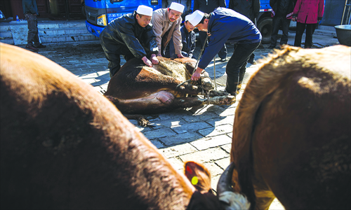 Bulls are slaughtered as part of the religious celebration. Photo: Li Hao/GT