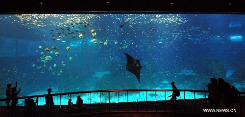 &nbsp;People visit the Resorts World Sentosa's S.E.A Aquarium in Singapore, April 9, 2013. The aquarium, is the official record holder of the two Guinness World Records - for the world's largest aquarium and for the world's largest acrylic panel in its Ocean Gallery, according to the announcement of the Resorts World Sentosa. (Xinhua/Then Chih Wey)
