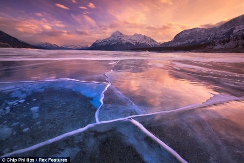 These stunning images show hundreds of frozen bubbles trapped below Canada's Abraham Lake. Located at the foot of the Rocky Mountains, the rare phenomenon occurs each winter in the man-made lake.  (Source: chinanews.com)