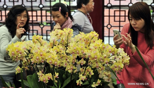 Visitors view flowers at a phalaenopsis exhibition in Taipei, southeast China's Taiwan, Feb. 3, 2013. The eight-day exhibition was opened on Feb. 3 to greet the upcoming Spring Festival, which falls on Feb. 10 this year. (Xinhua/Wu Ching-teng) 