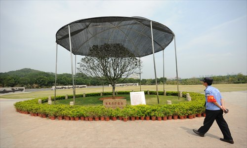 A huge black umbrella provides shade to a small tree in the center of a landscape garden in Shenzhen, Guangdong Province, as a protection measure for the plant. The tree was planted by a State leader in 2010 and therefore enjoys this 
