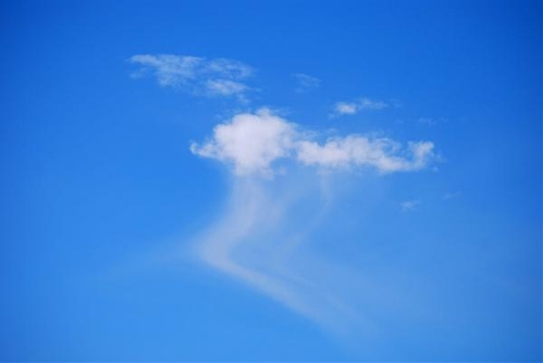 The photo taken by photographer Paul Garland shows the jellyfish shaped fallstreak&nbsp;in El Paso,Texas, USA. (Source: www.gmw.cn)