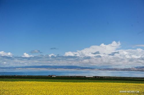 Photo taken on July 4, 2012 shows the scene of the Qinghai Lake in Northwest China's Qinghai Province. The Qinghai Lake, China's largest inland saltwater lake, measured 4,402.5 square km, according to the latest remote sensing survey. The figure was the largest in recent 12 years. Photo: Xinhua