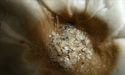 Citizen investigation