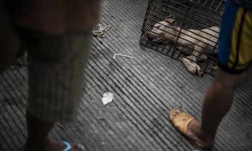 A dog for sale lies in a cage in Yulin, Guangxi Zhuang Autonomous Region, on June 21, locally known as 