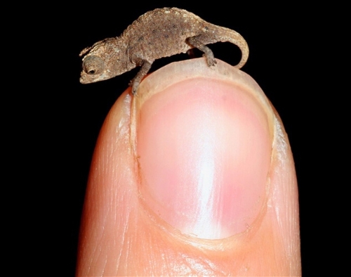 (Photo Source: huanqiu.com)