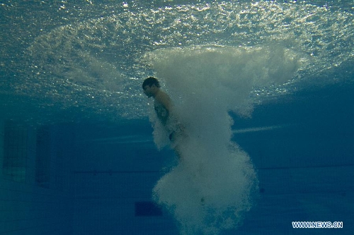 Mexican diver Yahel Castillo competes in the men's 3m springboard single semifinals during the fifth stage of the Diving World Series of International Swimming Federation (FINA) in Guadalajara, Jalisco, Mexico, on May 18, 2013. (Xinhua/Alejandro Ayala) 