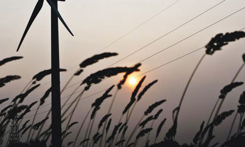 A wind farm in Northeast China's Liaoning Province. Photo: CFP