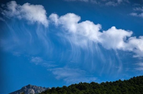 Fallstreak (Source: www.gmw.cn)