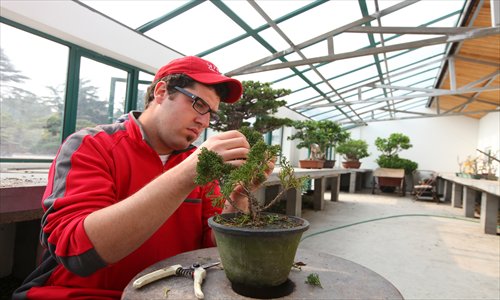 Matthiew Quinn works on a penjing piece at Shanghai Botanical Garden. Photo: Cai Xianmin/GT