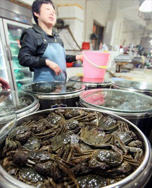 A local consumer watchdog organization has received 15 complaints related to hairy crabs since the start of September, up 25 percent from last year. Photo: CFP