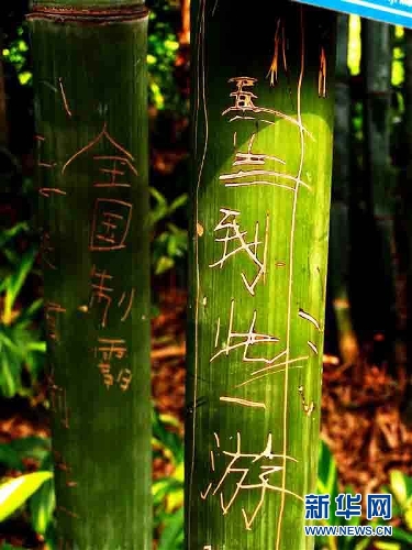 (Xinhua photo)