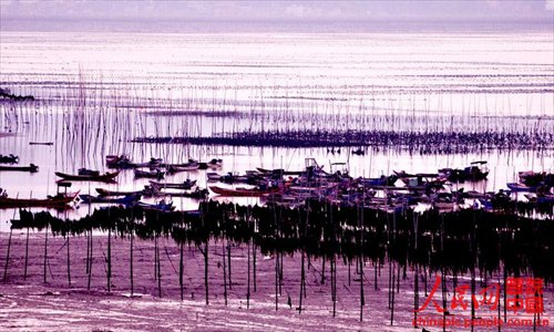 Xiapu mudflat scenery is as beautiful as a water-and-ink painting. (Chinapic.people.com.cn)
