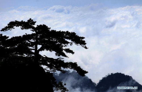 Photo taken on May 19, 2013 shows the sea of clouds at the Huangshan Mountain scenic spot in Huangshan City, east China's Anhui Province. (Xinhua/Shi Guangde)