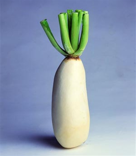 White radish. (Photo: gmw.cn)